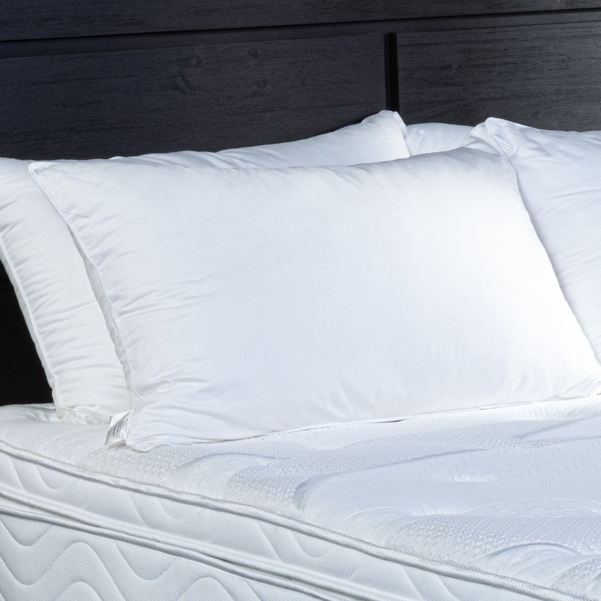 Uratex Wink Pure Pillow Uratex Philippines