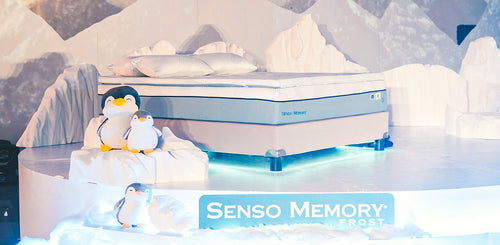 A Dreamland of Ice: The Grand Launch of Uratex's Senso Memory Frost